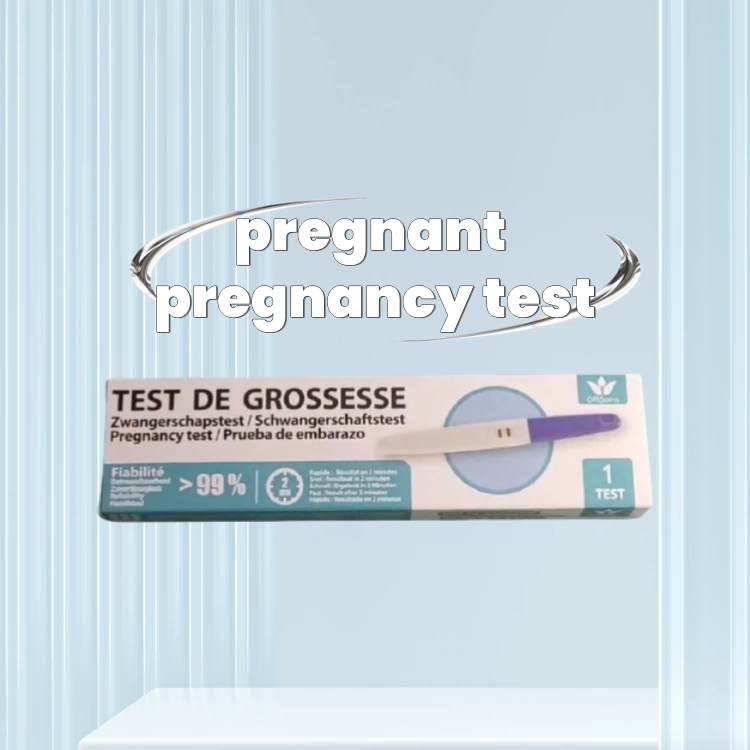 pregnant pregnancy test